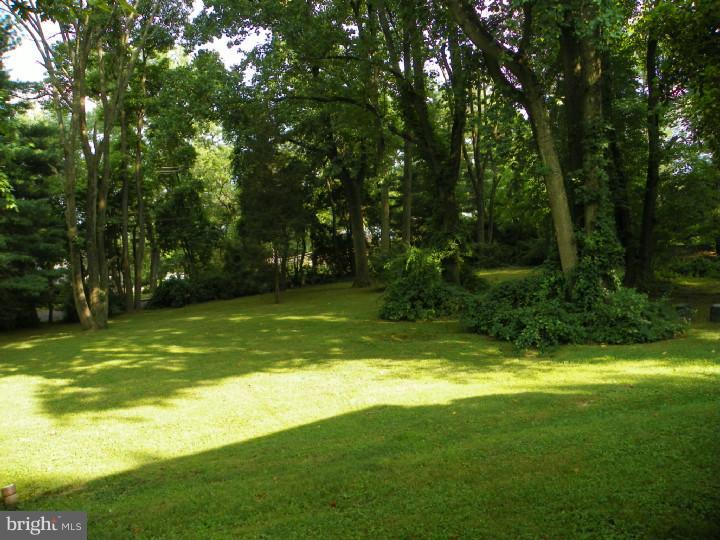 1348 Holcomb Road Huntingdon Valley, PA 19006 - Photo 20 of 24 Back Yard