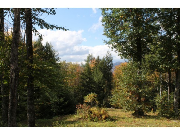 200 Larmie Hill Road Stockbridge, VT 05772 - Photo 19 of 22