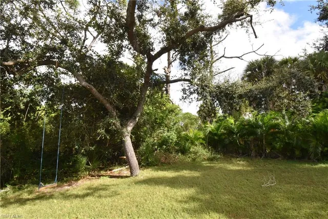 a view of a tree in the middle of a yard