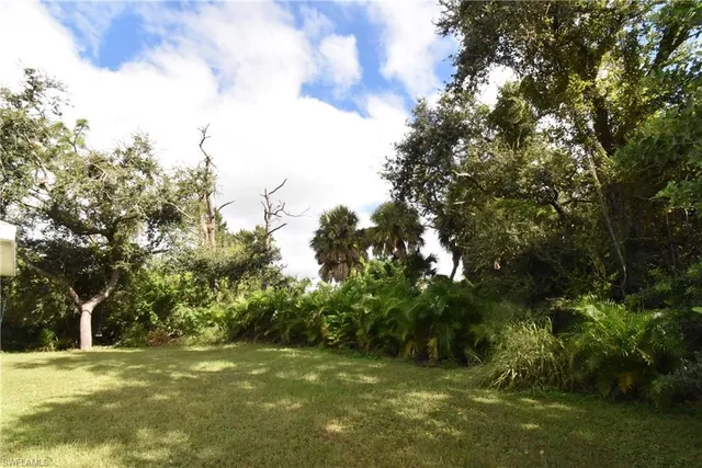 a view of a field with trees in the background