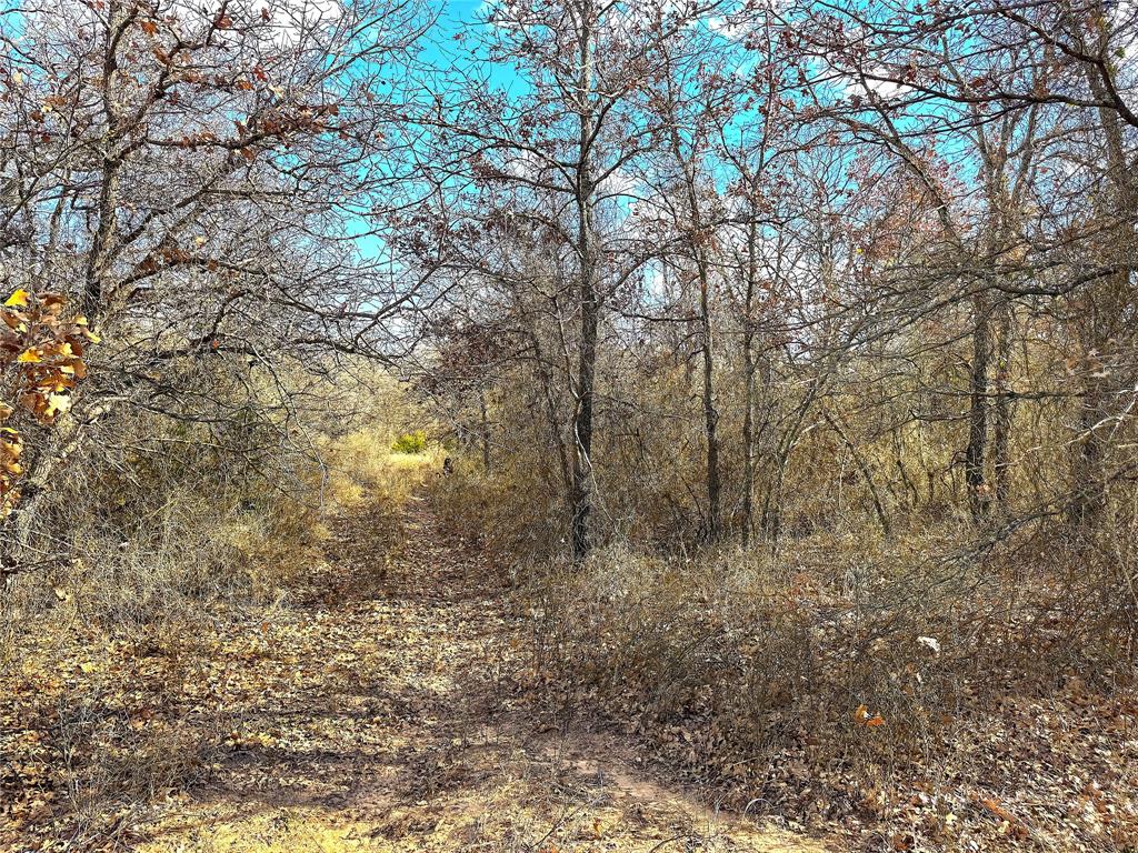 Tbd Turpin Lake Road Poolville, TX 76487 - Photo 13 of 35 a view of a yard with a tree