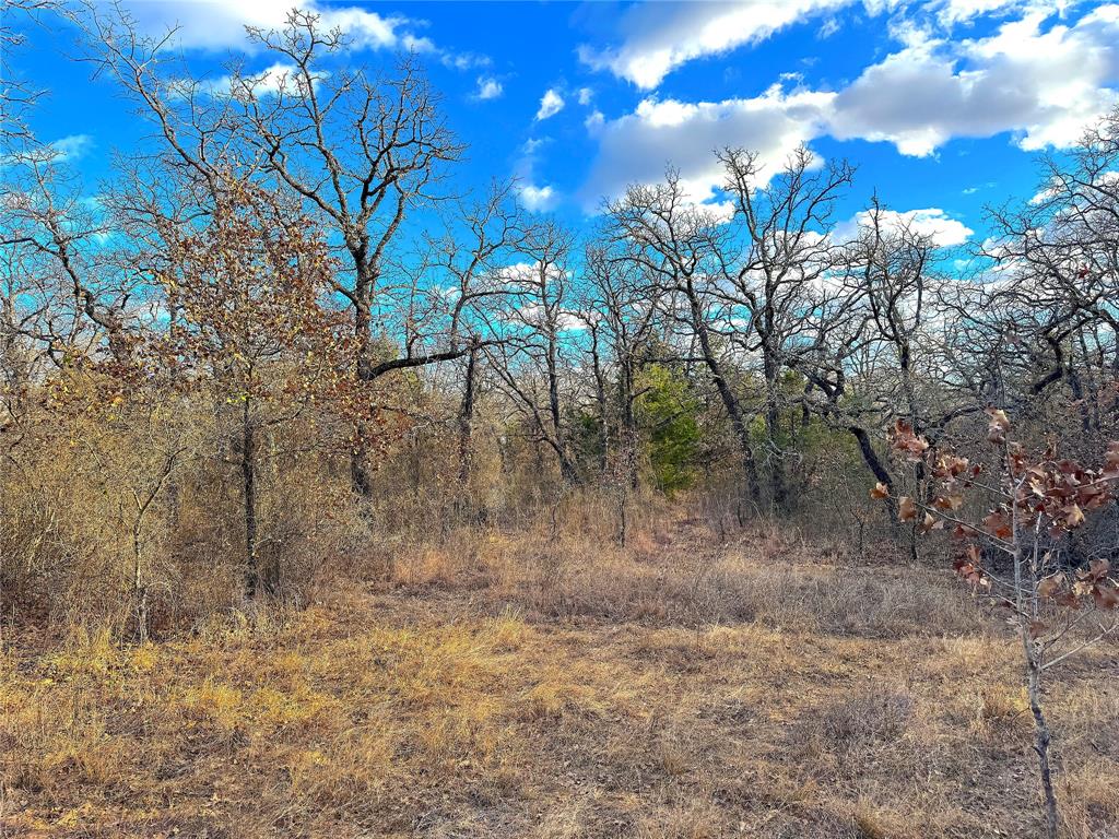 Tbd Turpin Lake Road Poolville, TX 76487 - Photo 20 of 35 a view of a yard with lots of green space