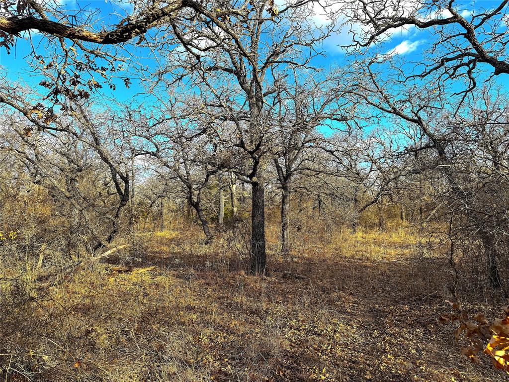 Tbd Turpin Lake Road Poolville, TX 76487 - Photo 21 of 35 a backyard of a house with lots of green space