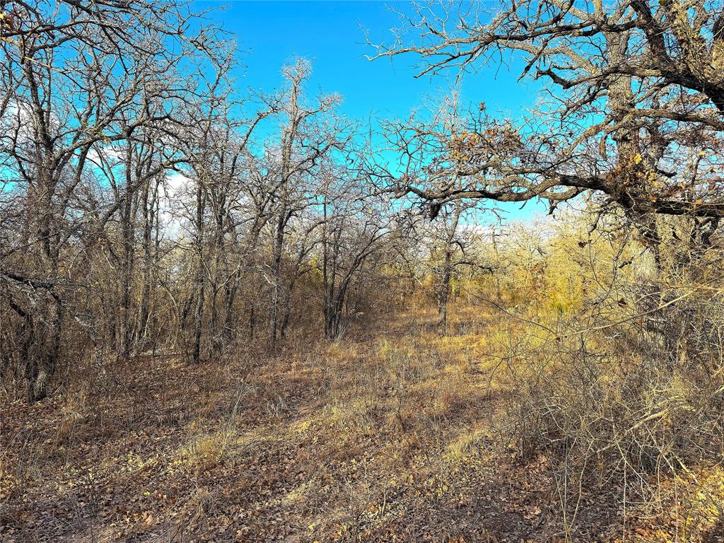 Tbd Turpin Lake Road Poolville, TX 76487 - Photo 22 of 35