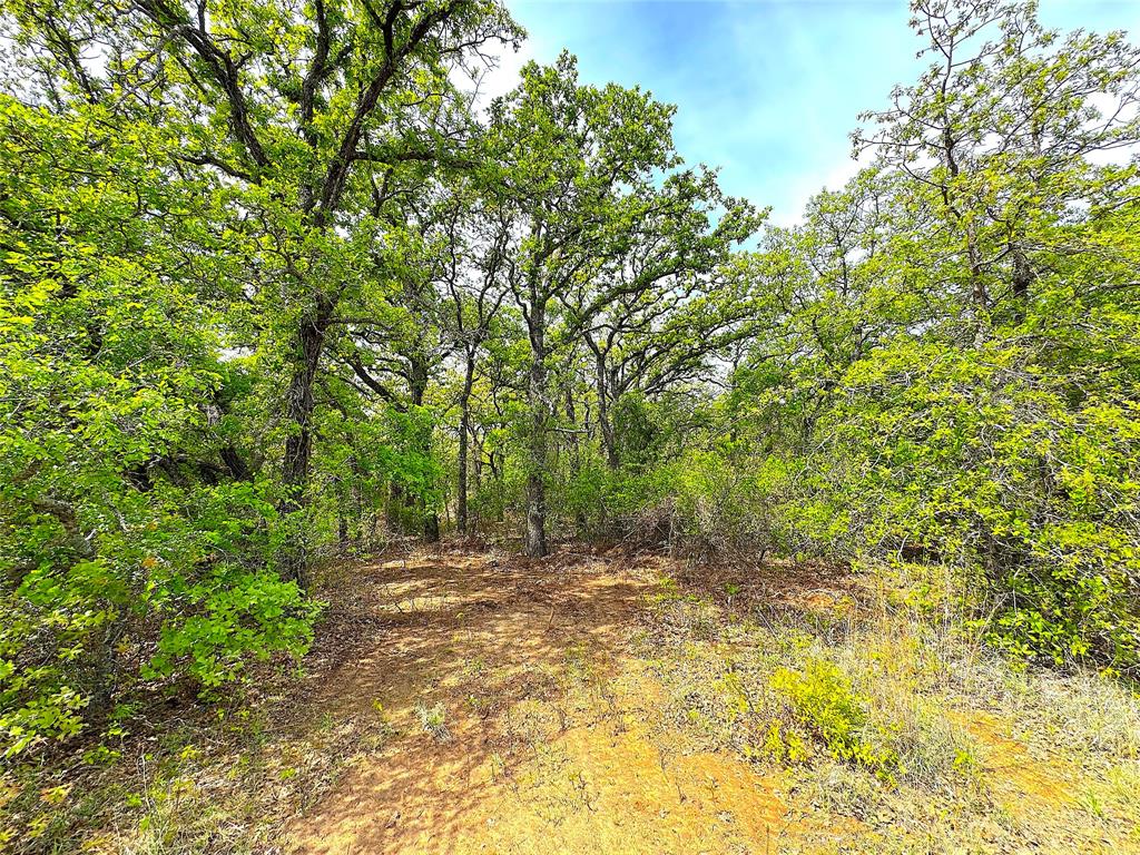 Tbd Turpin Lake Road Poolville, TX 76487 - Photo 25 of 40 a view of outdoor space and yard