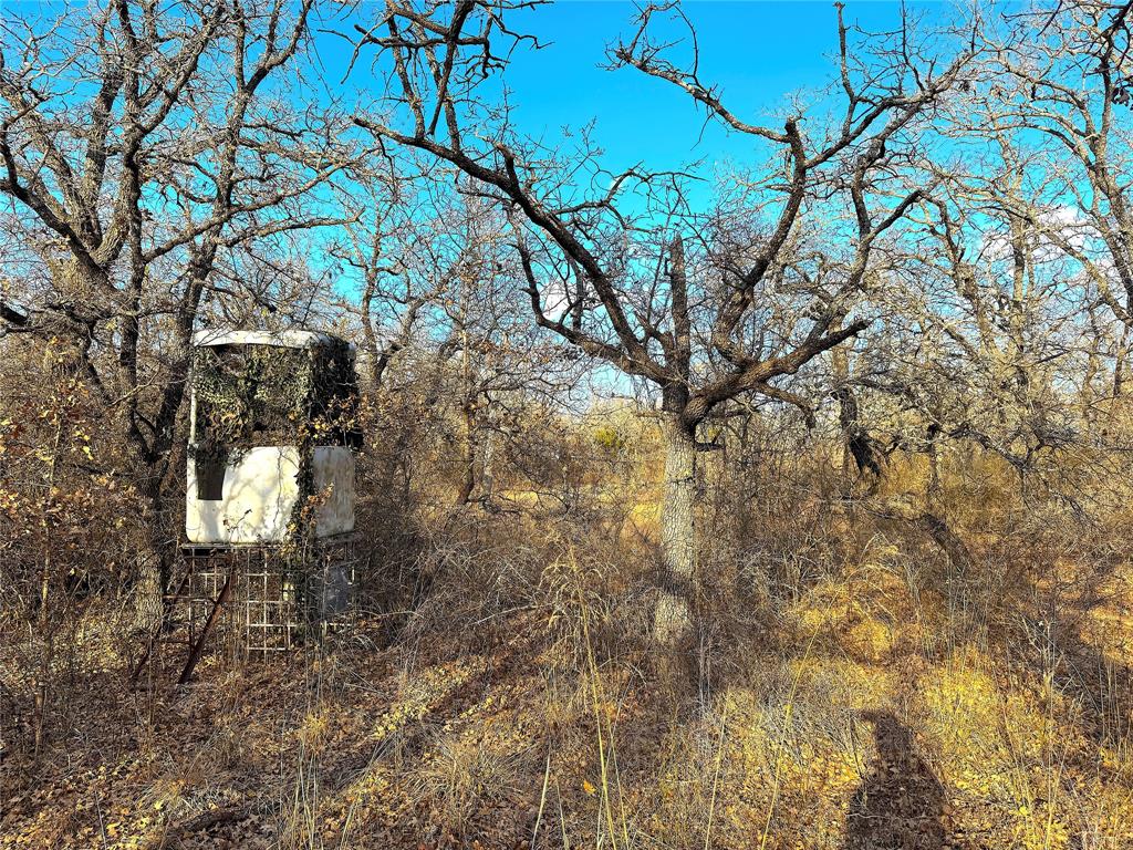 Tbd Turpin Lake Road Poolville, TX 76487 - Photo 26 of 35 a view of a tree in front of a house