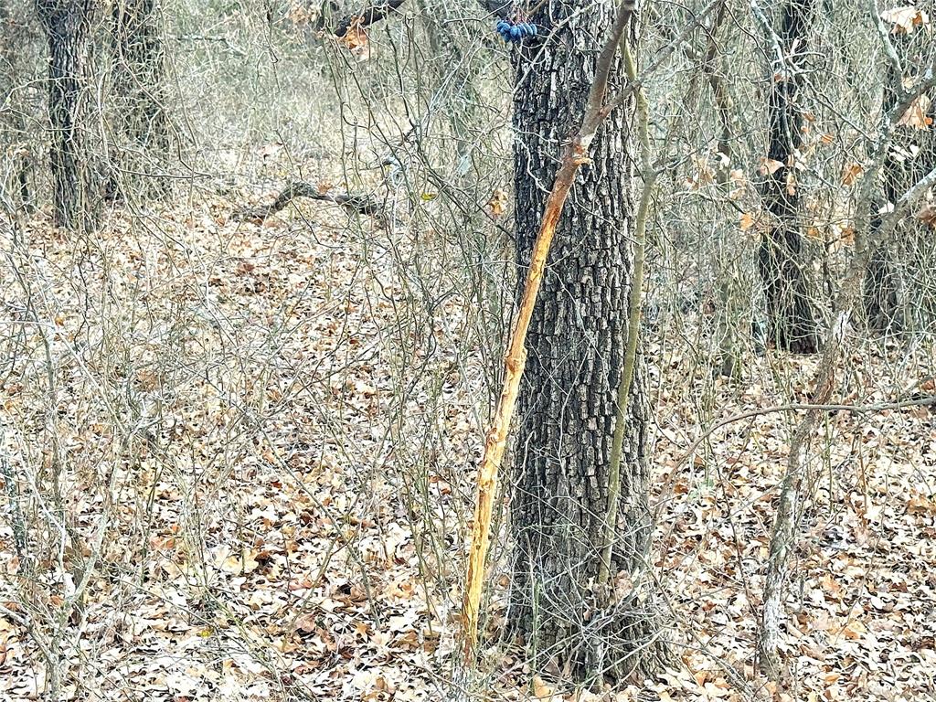 Tbd Turpin Lake Road Poolville, TX 76487 - Photo 27 of 35 a view of a shower curtain