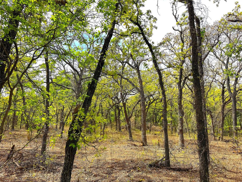 Tbd Turpin Lake Road Poolville, TX 76487 - Photo 28 of 40 a view of a yard