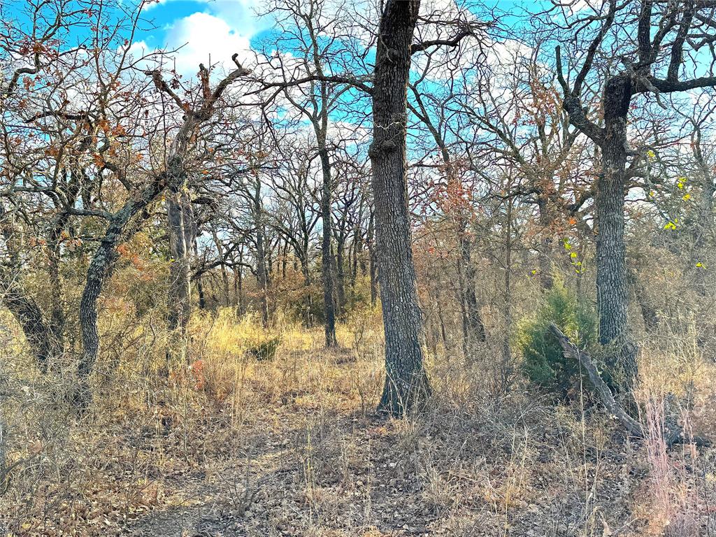 Tbd Turpin Lake Road Poolville, TX 76487 - Photo 29 of 35 a view of a yard with large trees