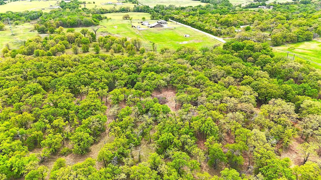 Tbd Turpin Lake Road Poolville, TX 76487 - Photo 30 of 40 a view of a large yard with plants and large trees