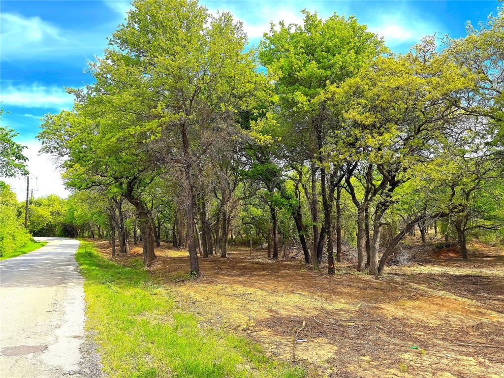 Tbd Turpin Lake Road Poolville, TX 76487 - Photo 3 of 40