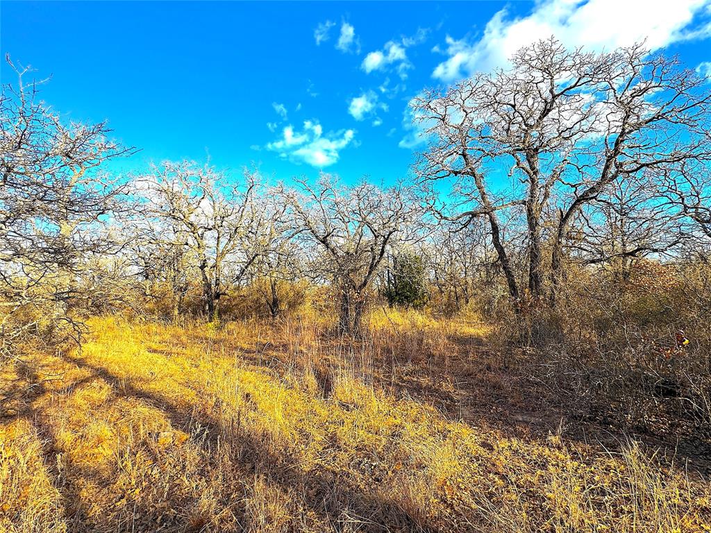 Tbd Turpin Lake Road Poolville, TX 76487 - Photo 32 of 35 a view of a lake with a tree