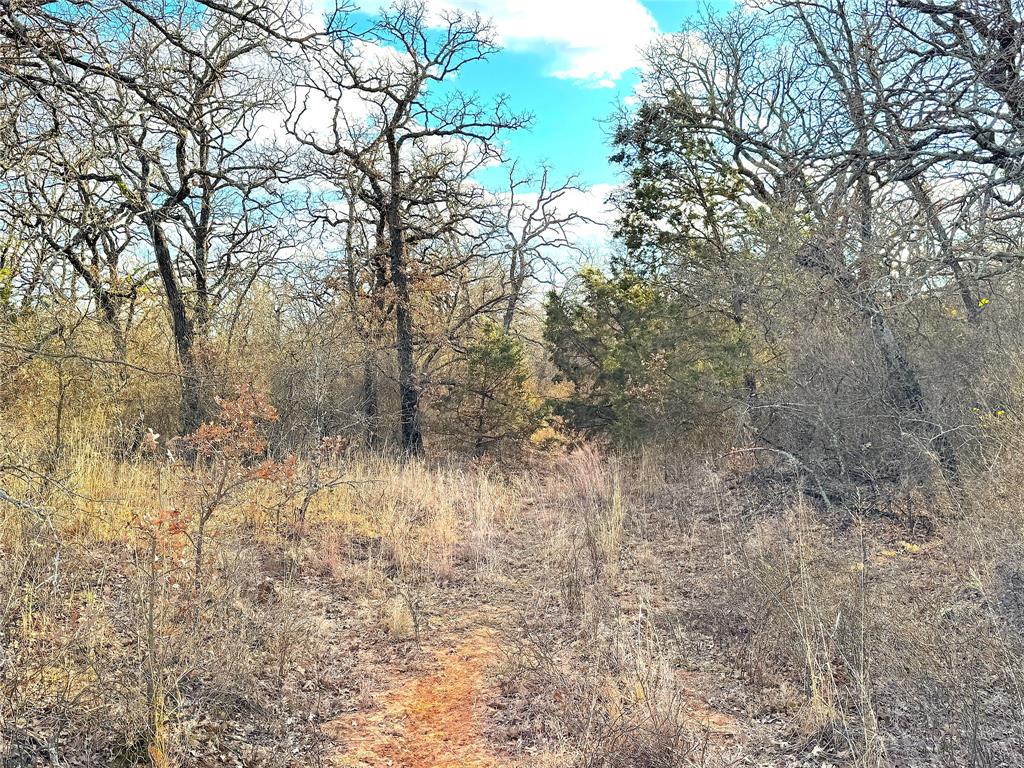Tbd Turpin Lake Road Poolville, TX 76487 - Photo 33 of 35 a view of a yard with a tree