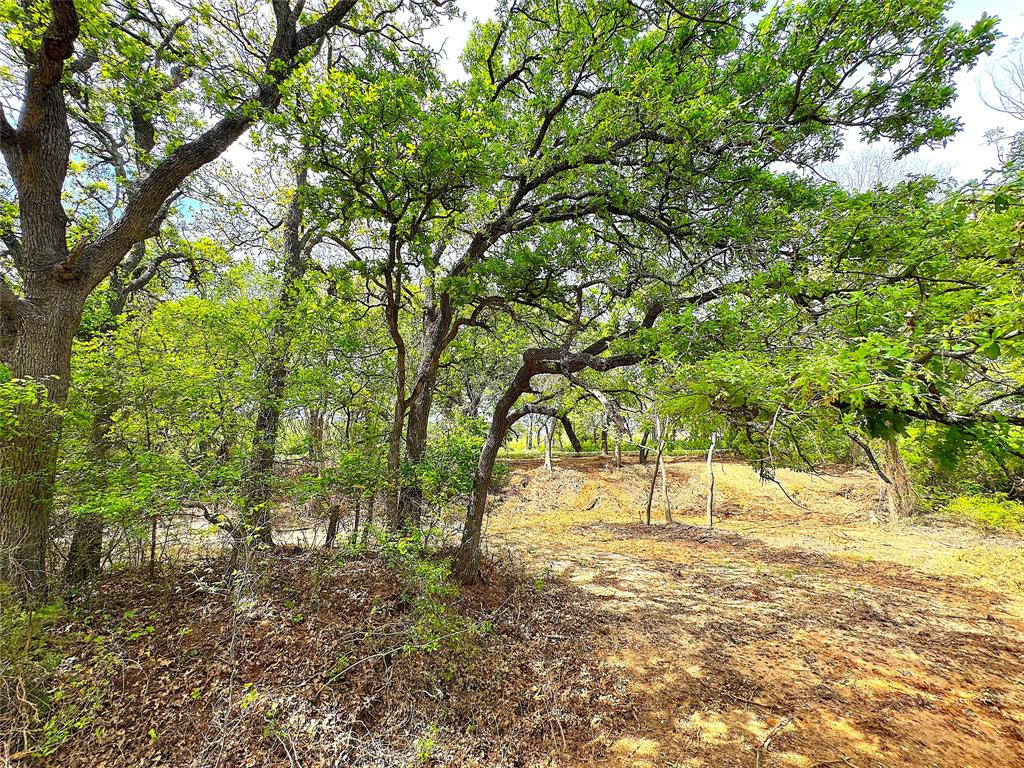 Tbd Turpin Lake Road Poolville, TX 76487 - Photo 36 of 40 a view of yard