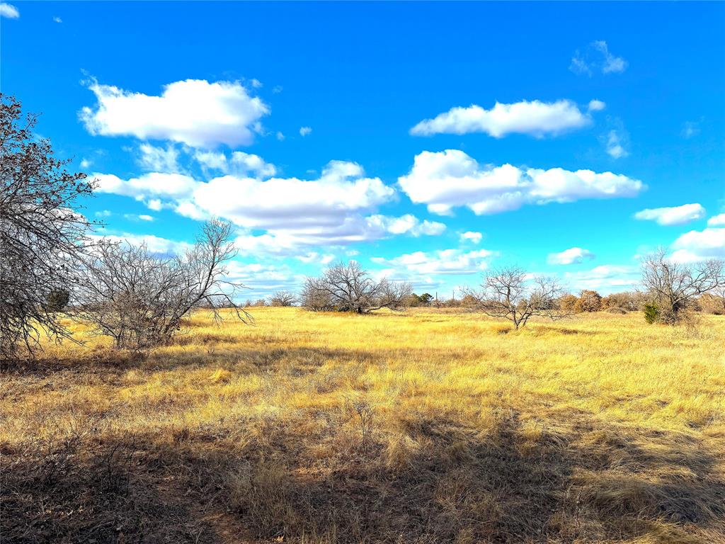 Tbd Turpin Lake Road Poolville, TX 76487 - Photo 6 of 35 a view of an ocean