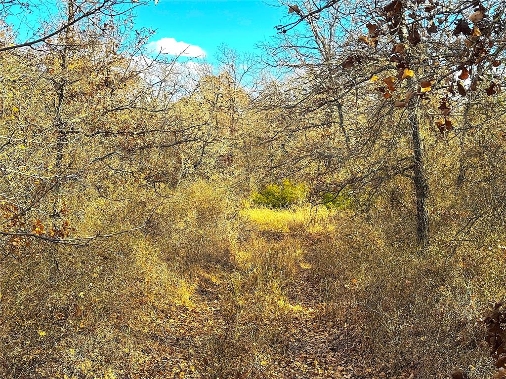 Tbd Turpin Lake Road Poolville, TX 76487 - Photo 9 of 35