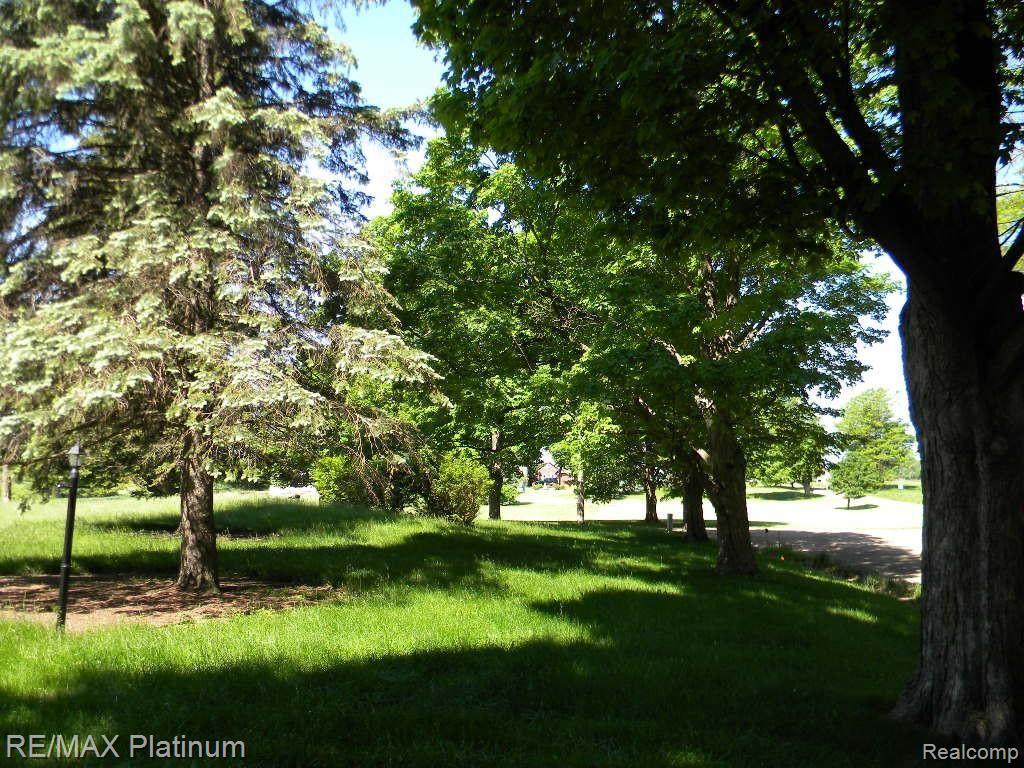 11975 Moyer Road Webberville, MI 48892 - Photo 24 of 25 Beautiful Yard