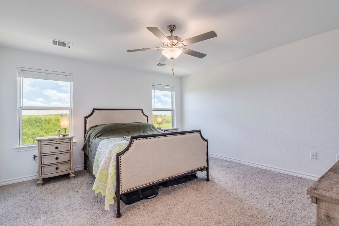 572 Pepperbark Loop Buda, TX 78610 - Photo 11 of 24