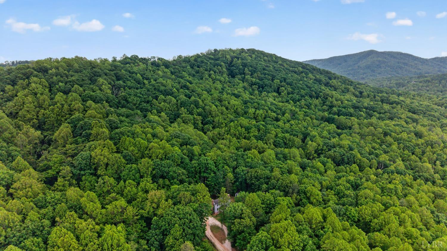 280 Hidden Acres Lane Amherst, VA 24521 - Photo 67 of 70