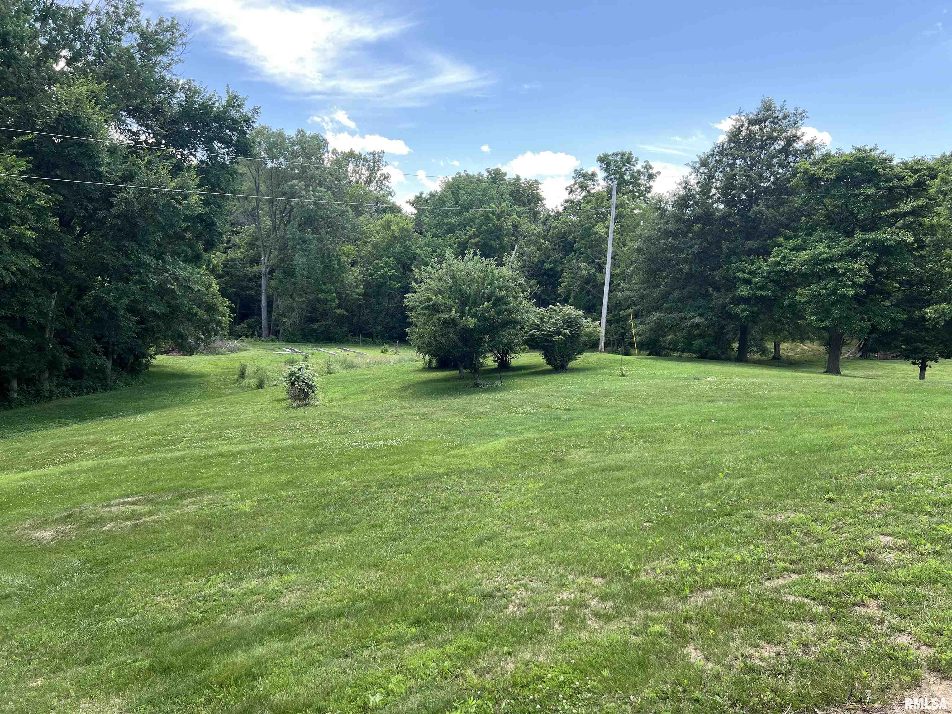 1985 Ladue Road Jacksonville, IL 62650 - Photo 14 of 62