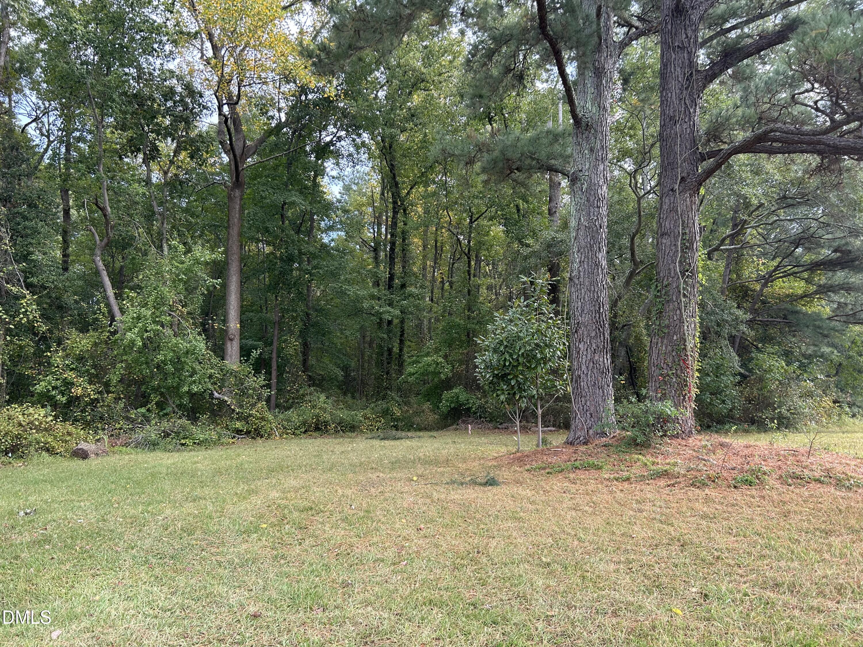11114 Cleveland Road Garner, NC 27529 - Photo 9 of 26 a view of backyard with green space