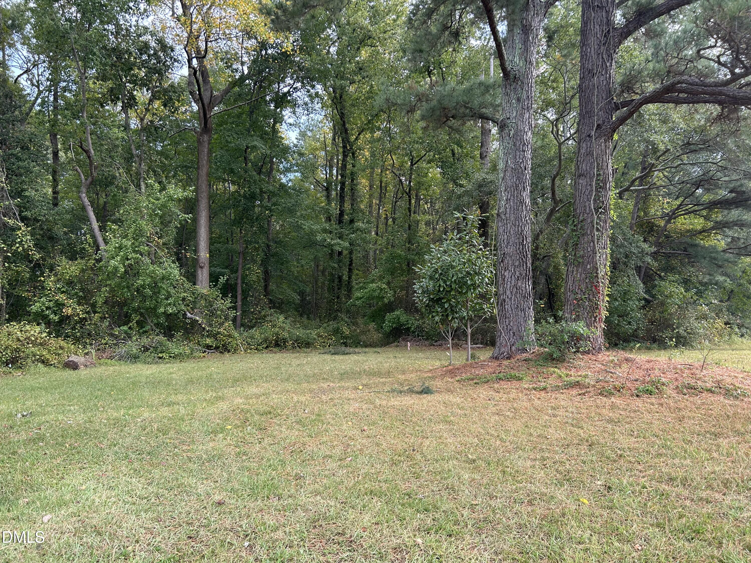 11114 Cleveland Road Garner, NC 27529 - Photo 10 of 26 a view of outdoor space with trees