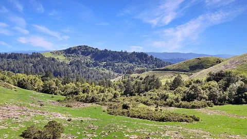 a view of a field of grass and trees