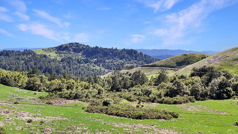131 Rapley Ranch Road Redwood City, CA 94062 - Photo 35 of 43