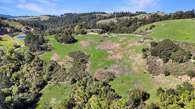 131 Rapley Ranch Road Redwood City, CA 94062 - Photo 37 of 43