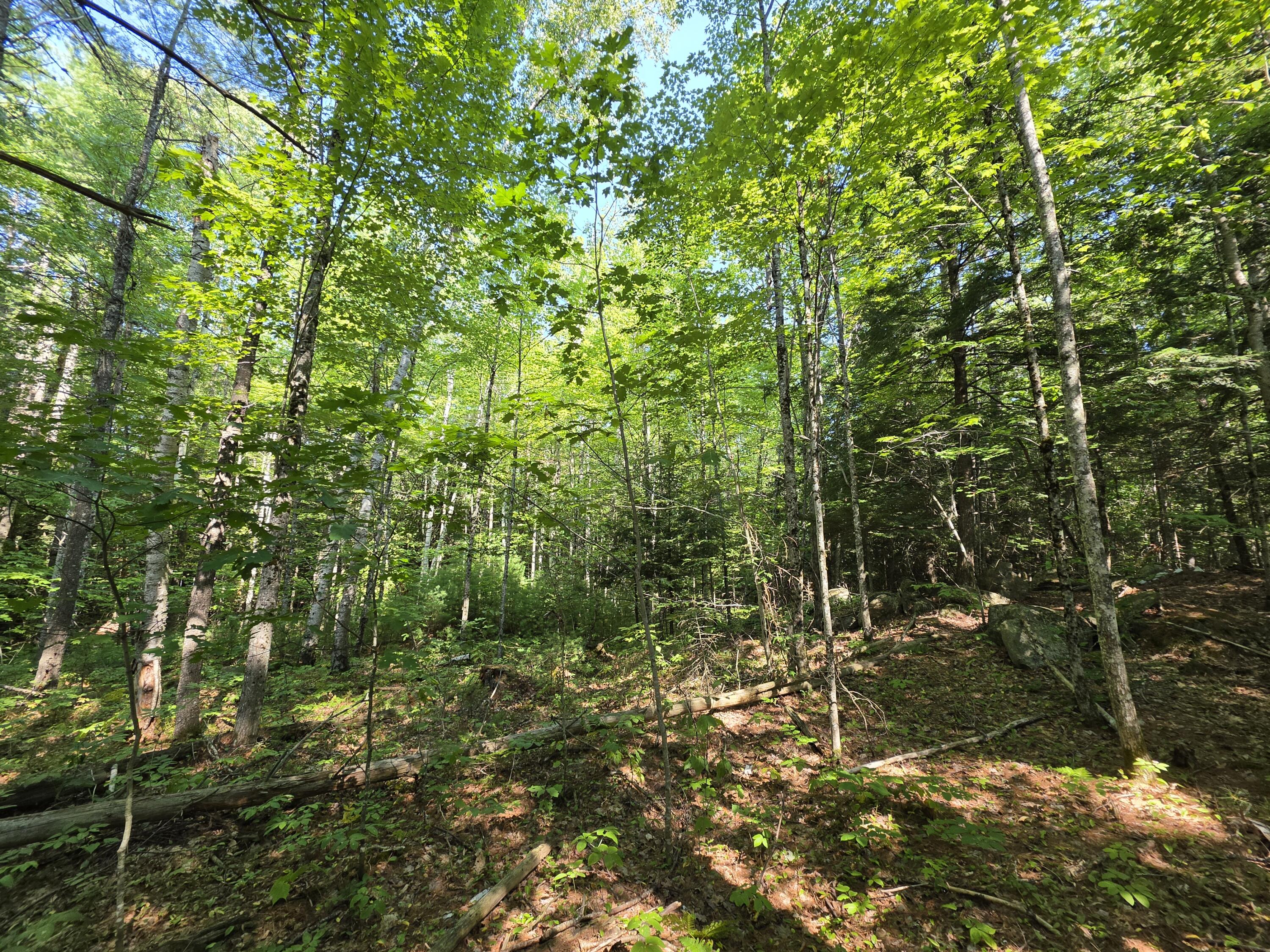 4 Lowell Road Enfield, ME 04493 - Photo 5 of 13 20260812_101630
