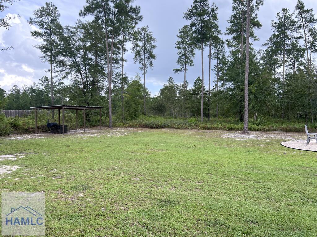 611 Mt Pleasant Road Hortense, GA 31543 - Photo 41 of 42 Gallery Image 41