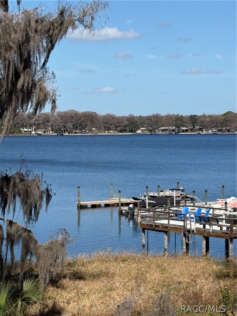 568 San Remo Circle Inverness, FL 34450 - Photo 29 of 34