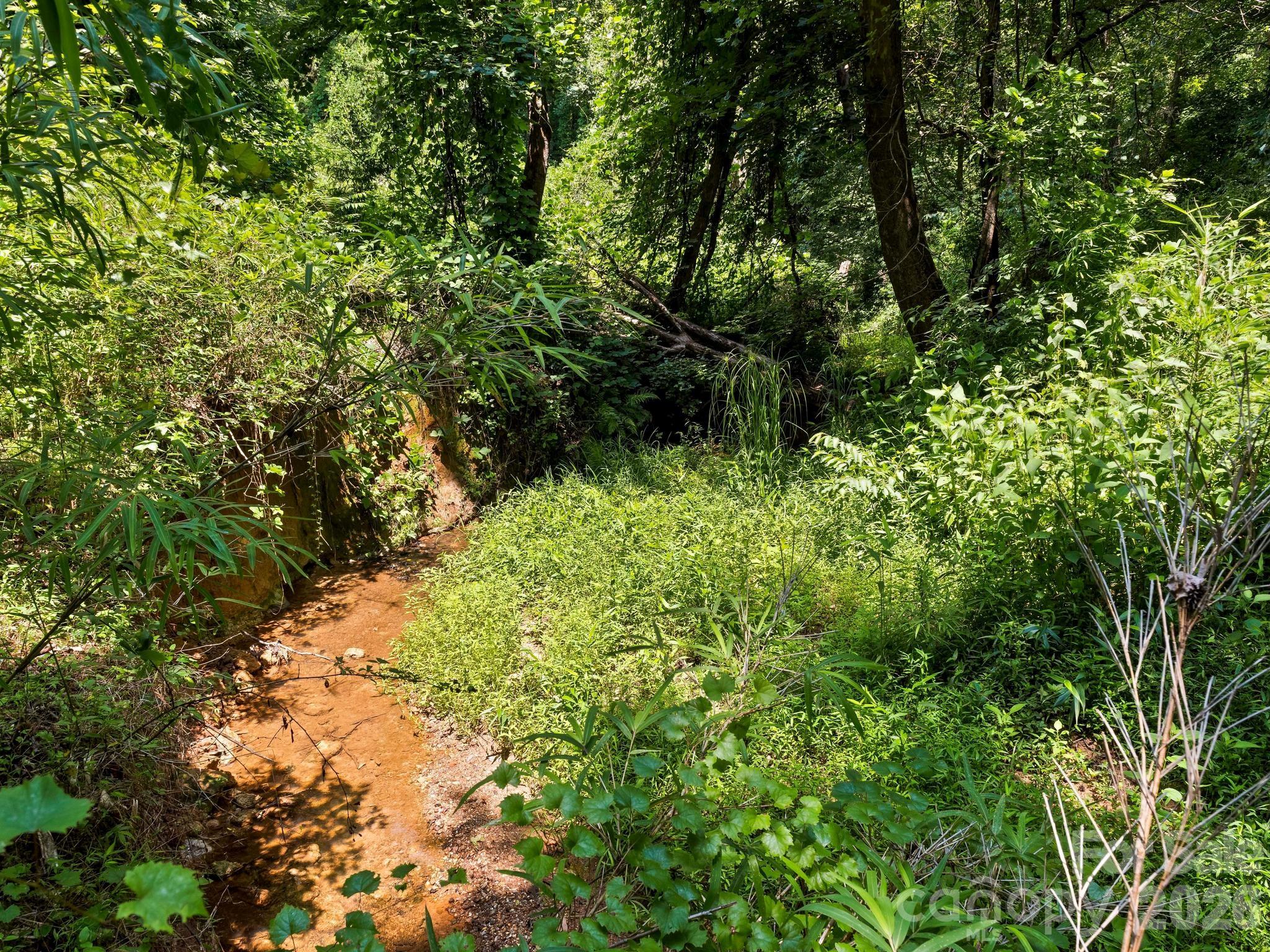 1541 Sandy Springs Road Rutherfordton, NC 28139 - Photo 31 of 43