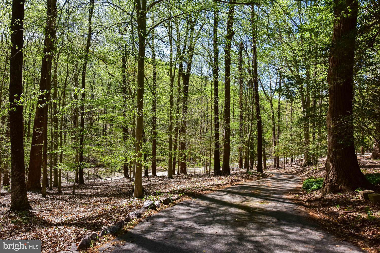 1110 Apple Valley Road Accokeek, MD 20607 - Photo 40 of 79