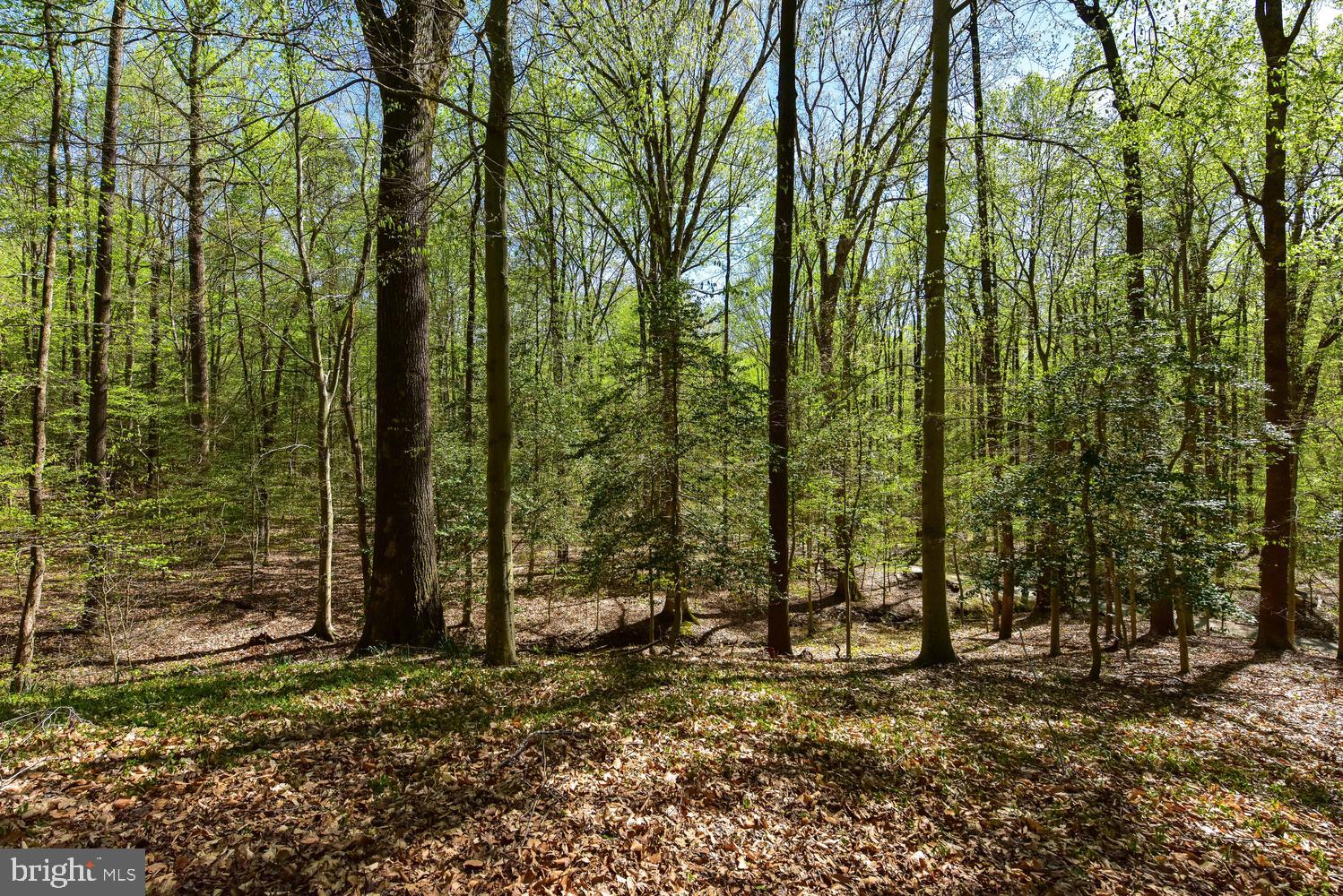 1110 Apple Valley Road Accokeek, MD 20607 - Photo 58 of 79
