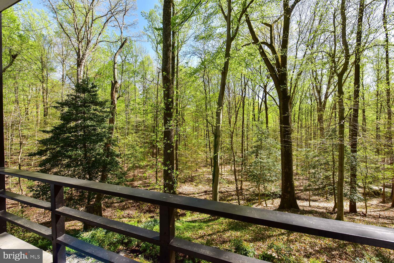 1110 Apple Valley Road Accokeek, MD 20607 - Photo 79 of 79