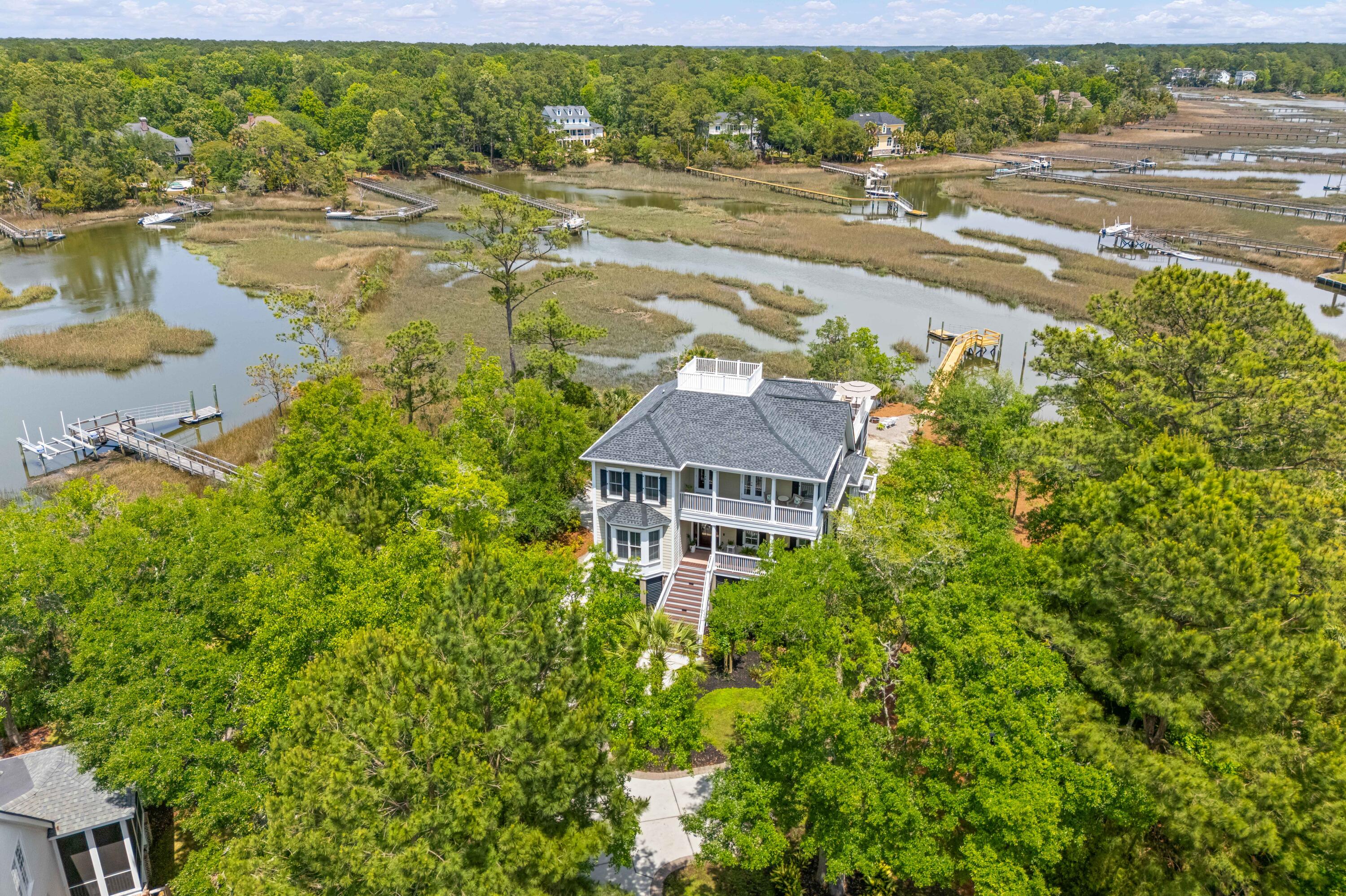 3512 Henrietta Hartford Road Mount Pleasant, SC 29466 - Photo 50 of 65