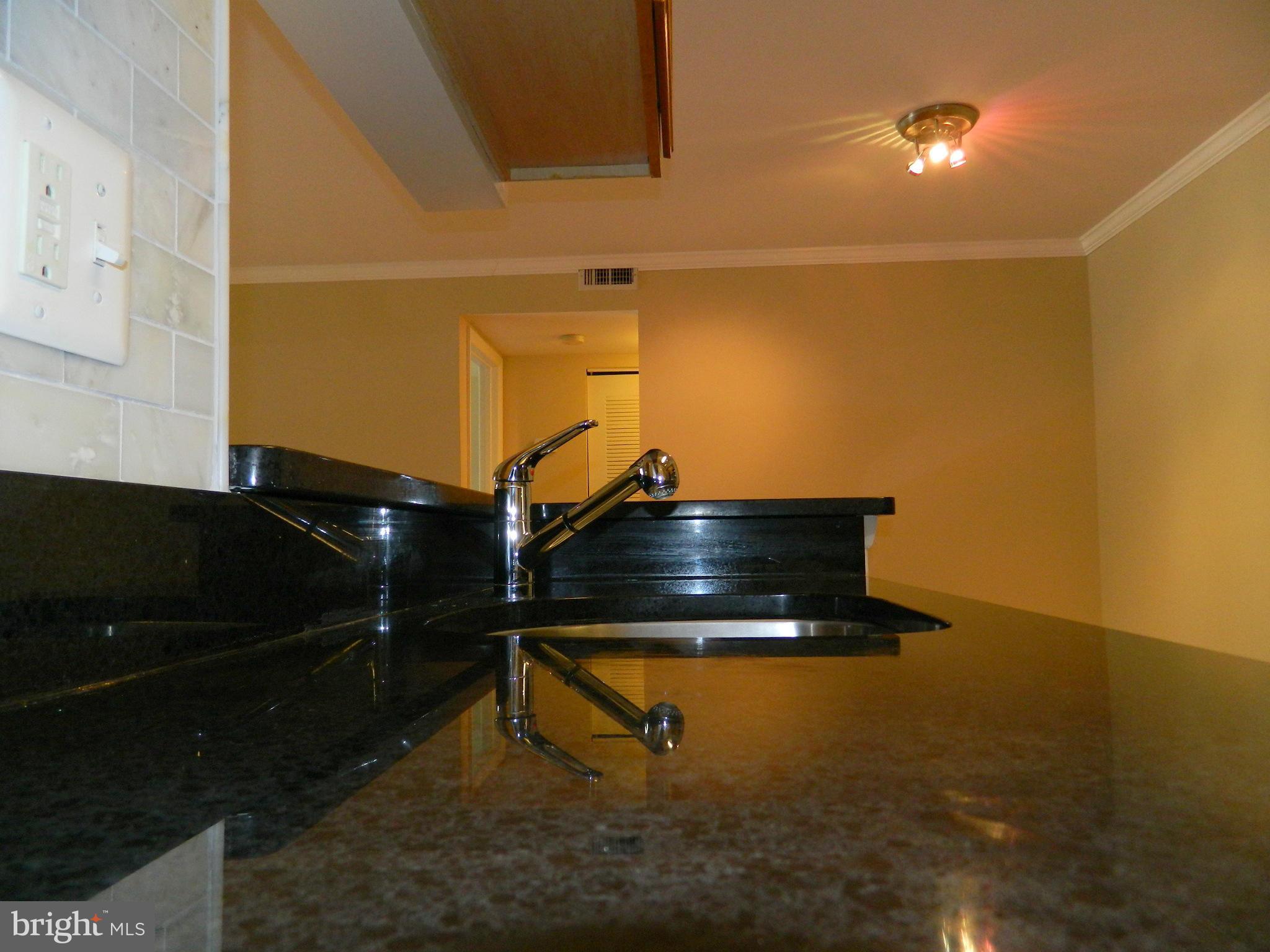 1703 Ascot Way, Unit A Reston, VA 20190 - Photo 10 of 30 Kitchen