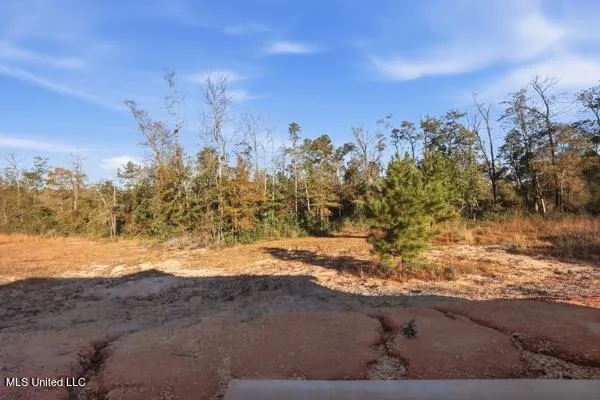 $220,000 | 139 Beaver Dam Road, McHenry, MS 39561