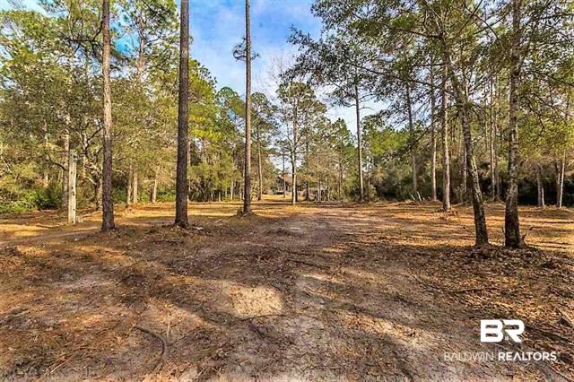 10955 Patterson Lane Elberta, AL 36530 - Photo 18 of 21