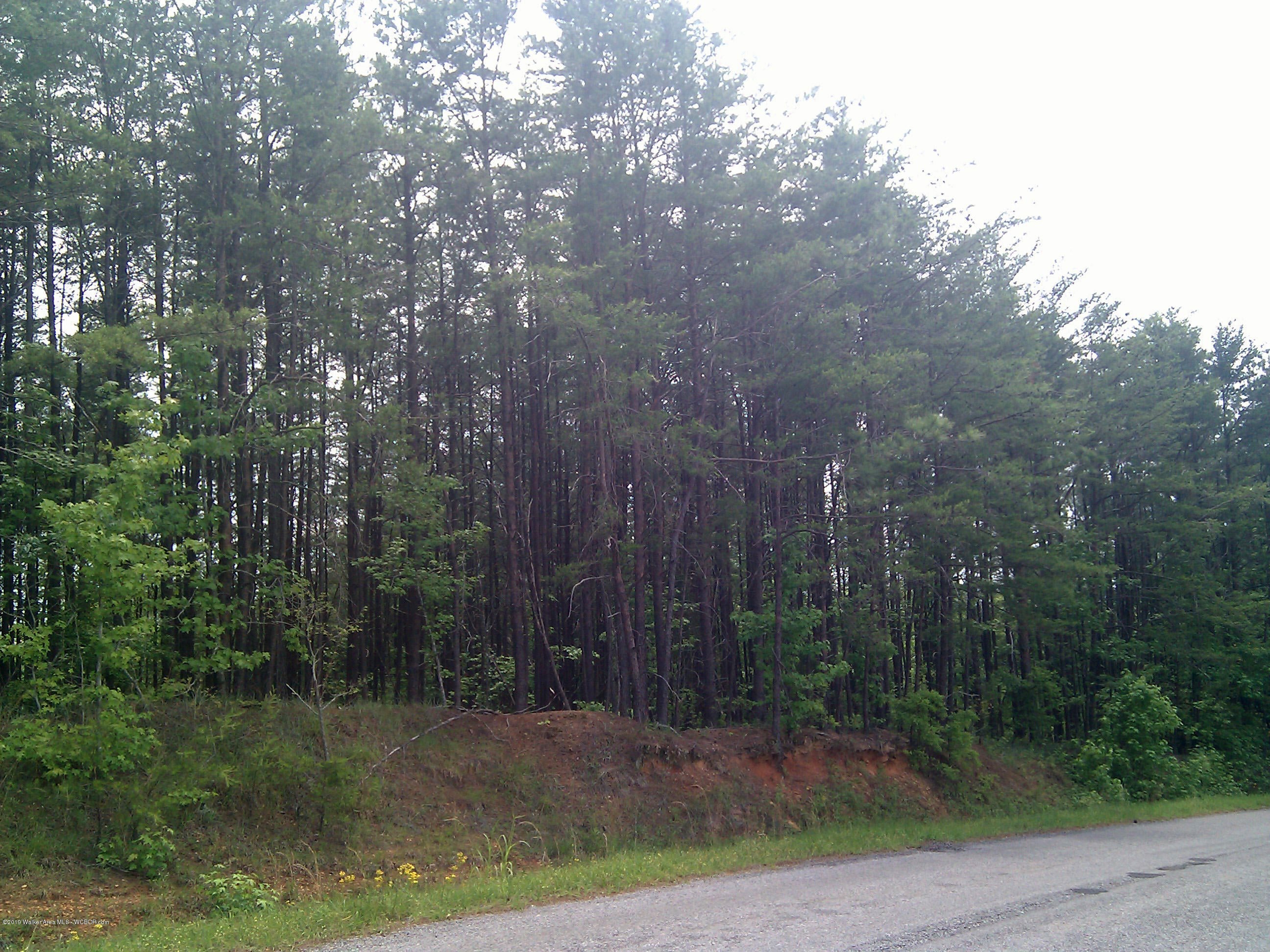 Bankhead Road Quinton, AL 35130 - Photo 3 of 5 Gallery Image 3