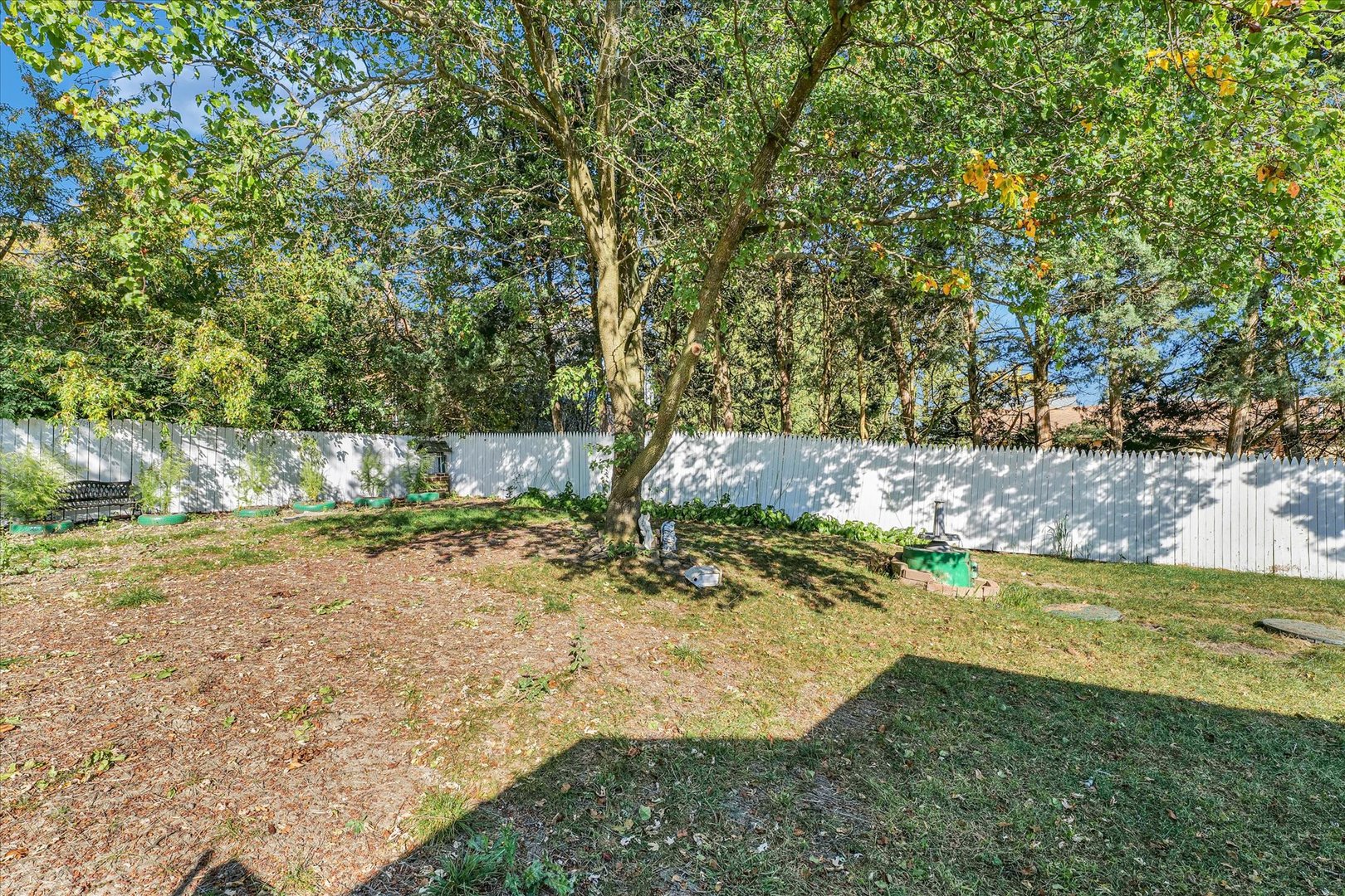 309 South Main Street Elliott, IL 60933 - Photo 36 of 44 a view of a yard with a tree