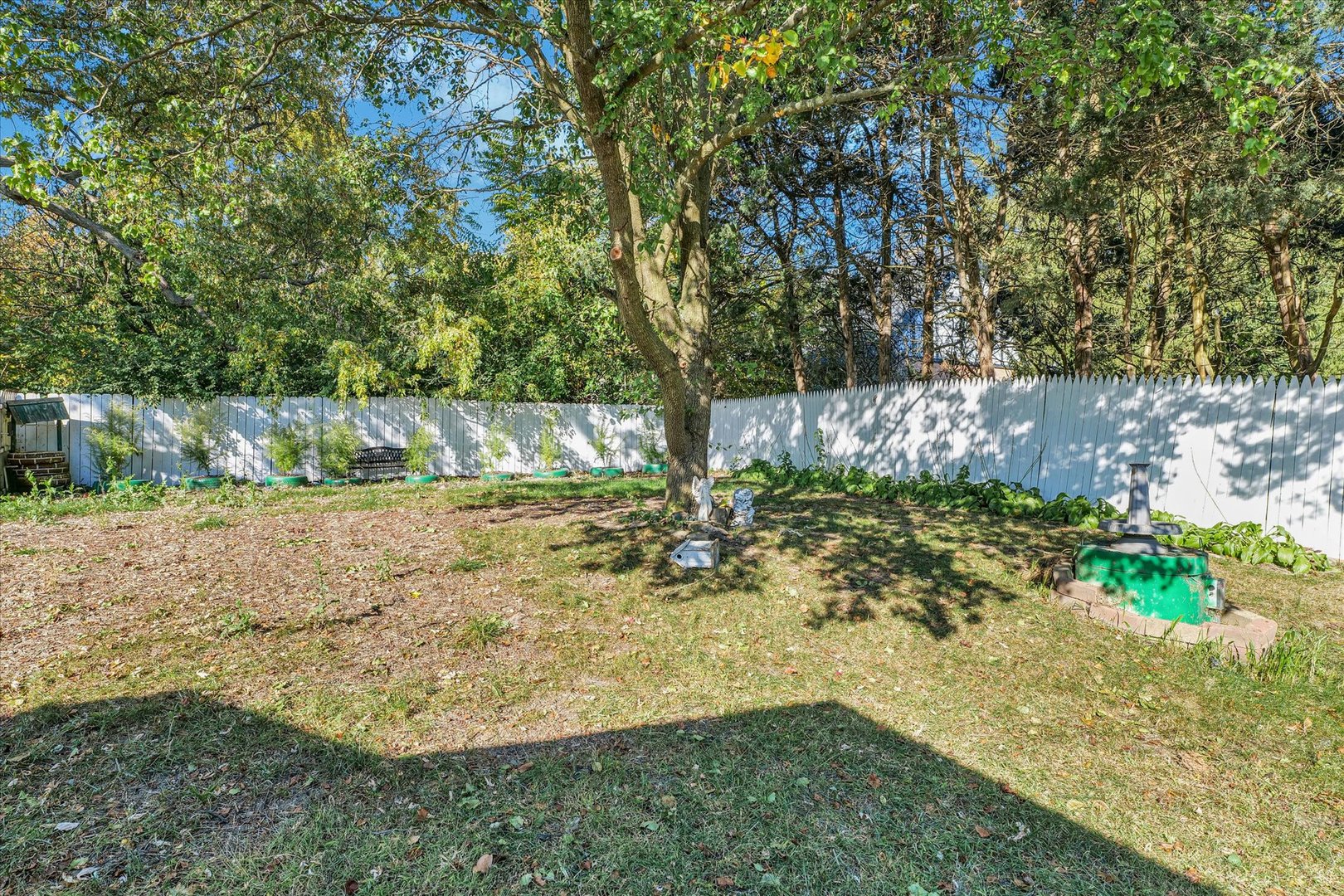 309 South Main Street Elliott, IL 60933 - Photo 40 of 44 a view of a backyard