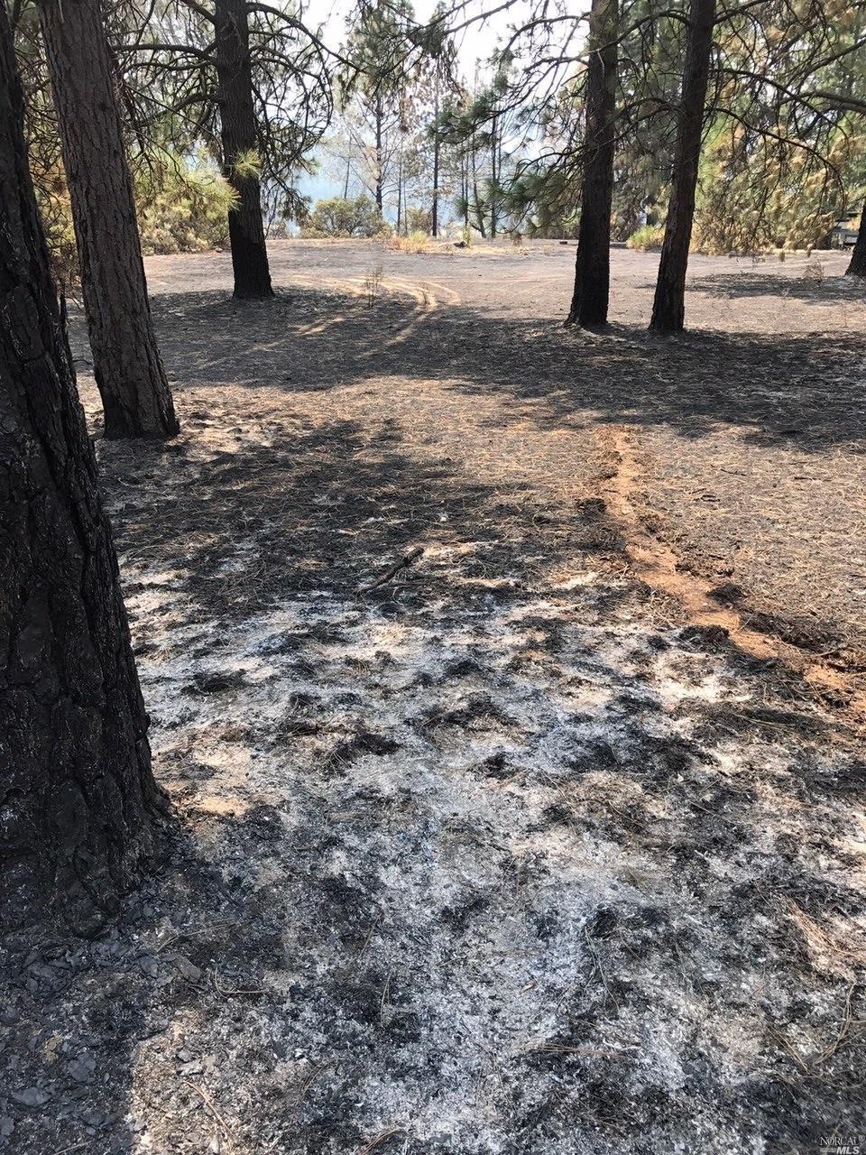 10500 Sam Alley Ridge Road Upper Lake, CA 95485 - Photo 1 of 1 Gallery Image 1