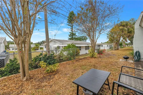 a view of a backyard with plants and trees