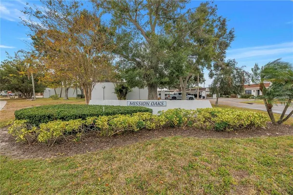 a view of a park with large trees