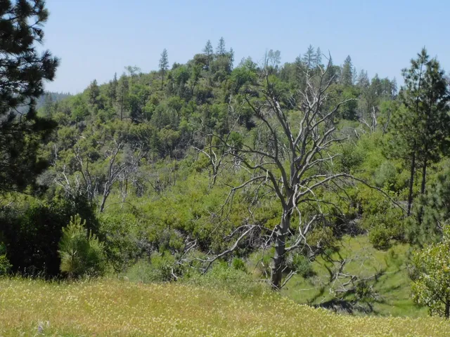 $650,000 | 165 Freshwater Lane, El Dorado, CA 95623