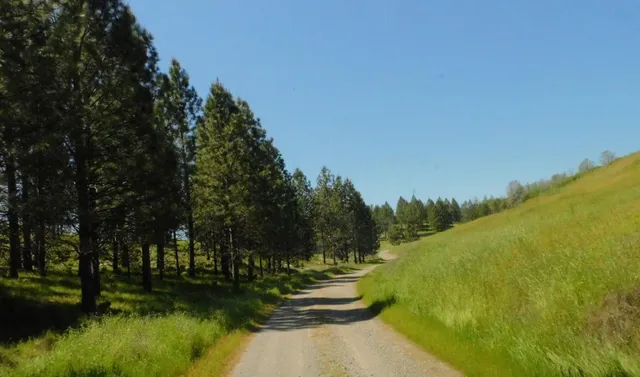 $650,000 | 165 Freshwater Lane, El Dorado, CA 95623