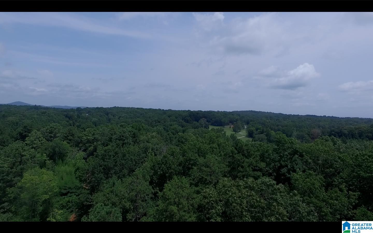 830 Mountain View Road, Unit 1 Talladega, AL 35160 - Photo 7 of 11