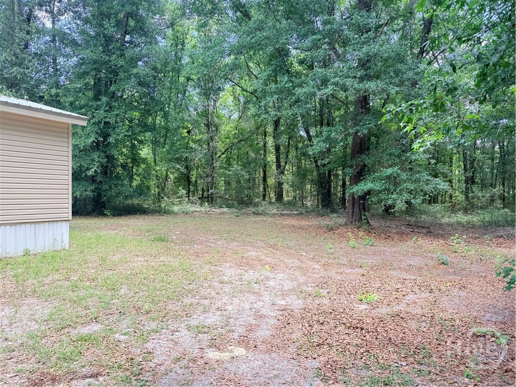563 Kendricks Road Brooklet, GA 30415 - Photo 3 of 12